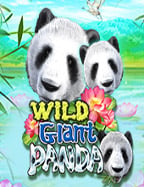 สำรวจโลกสนุกในคาสิโน เมือง ลาสเวกัส ผ่านเกมสล็อตออนไลน์